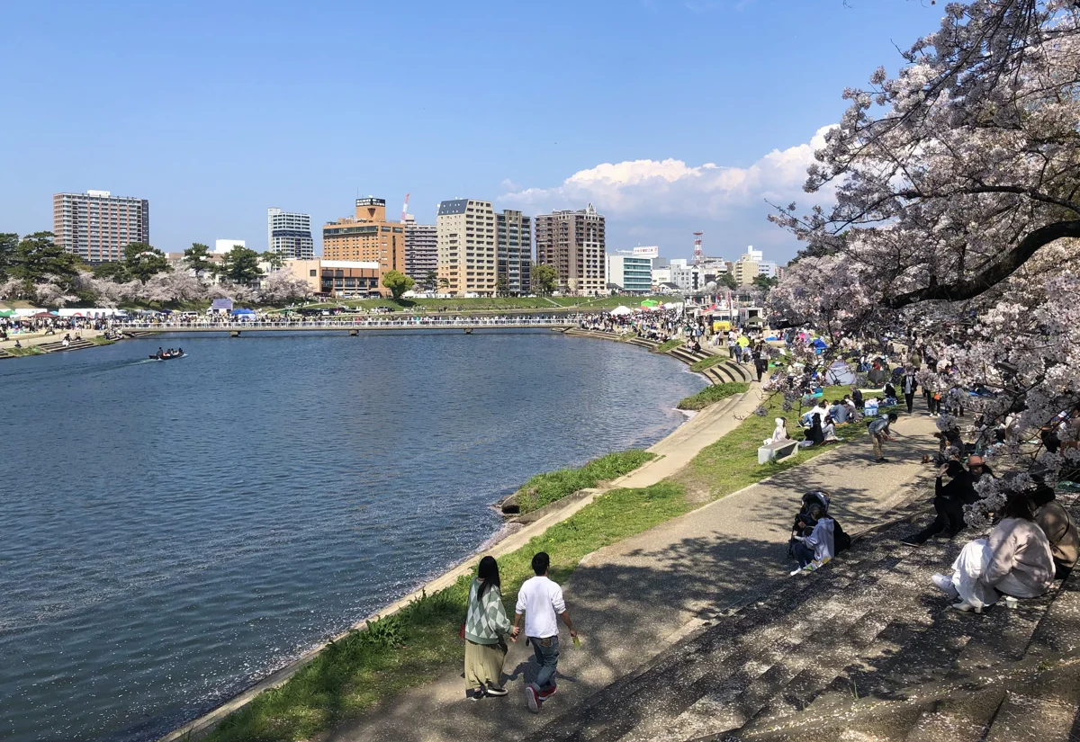 岡崎市・乙川の潜水橋と桜。2023年4月1日撮影